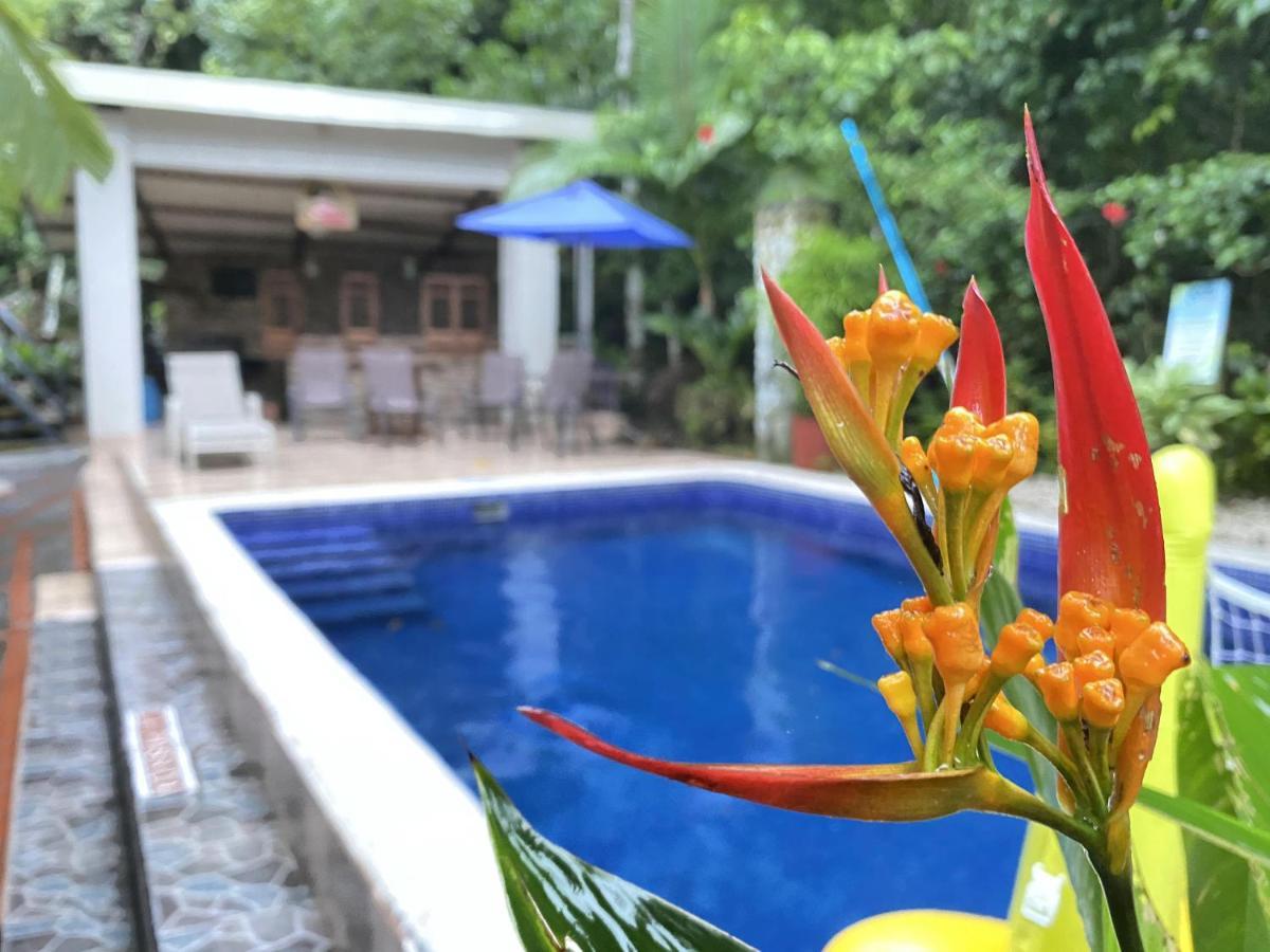 La Posada Jungle Hotel Manuel Antonio Eksteriør bilde