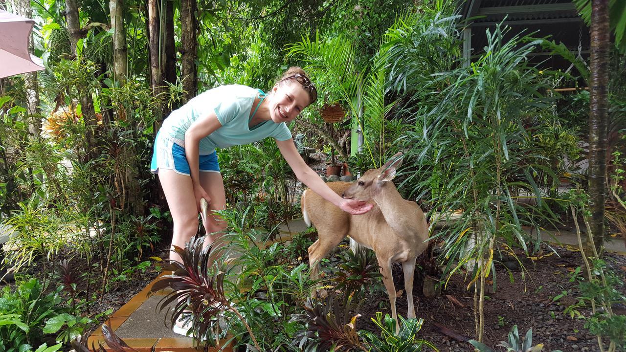 La Posada Jungle Hotel Manuel Antonio Eksteriør bilde