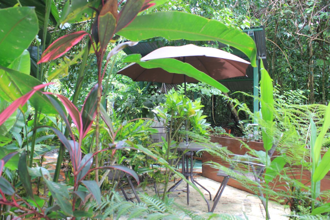 La Posada Jungle Hotel Manuel Antonio Eksteriør bilde