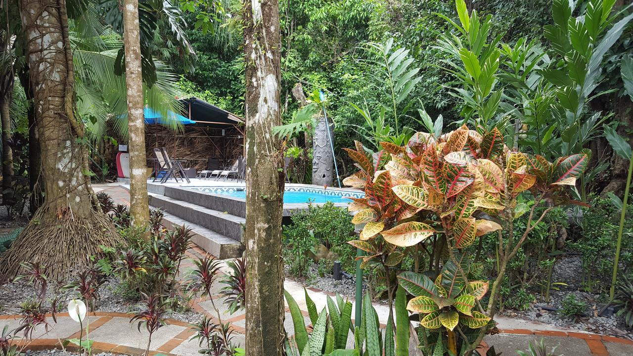 La Posada Jungle Hotel Manuel Antonio Eksteriør bilde